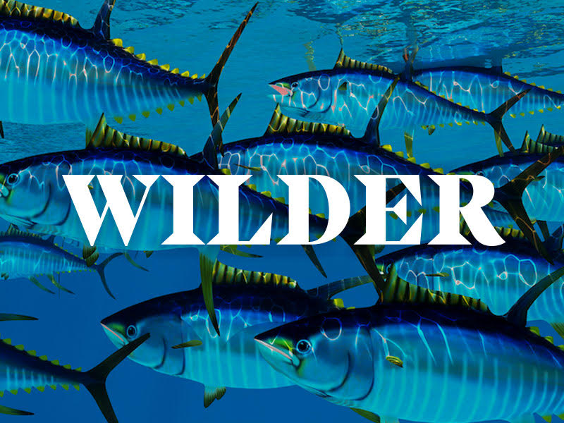 Wilder Brand Naming Agency Agencies logo