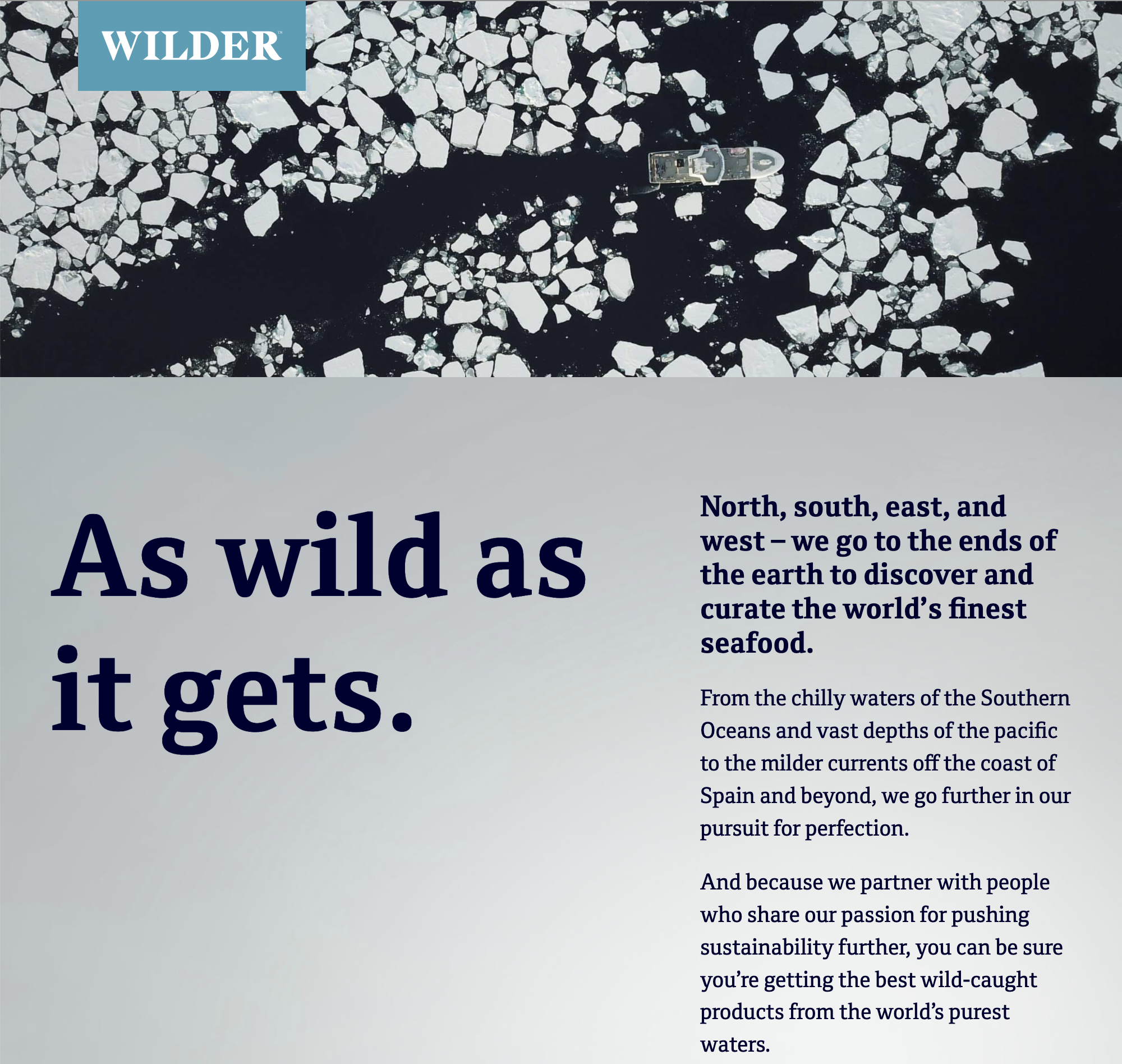 Wilder Brand Naming Agency Agencies